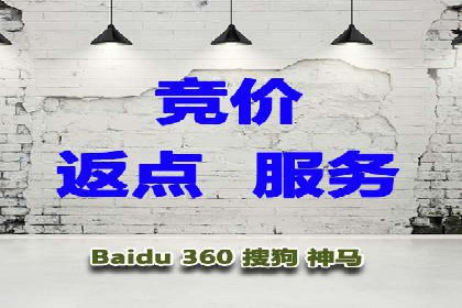 大型SEM服务公司案例分析