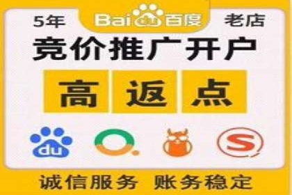 SEM广告投放的技巧与策略——成功案例分享